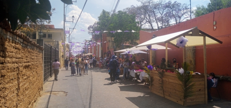 Covid-Oaxaca-1
