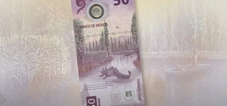 Billete de 50 pesos (1)