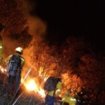 Mueren cinco comuneros en incendio de San Lucas Quiaviní 