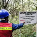 Congreso local exhorta a la Secretaría de Hacienda a proponer un régimen fiscal diferenciado para Empresas Forestales Comunitarias