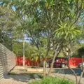 Acusan a Fibra Danhos de apropiación ilegal de vía pública y ecocidio en la Privada de las Rosas