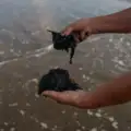 Gobiernos apuestan por más petróleo en el Golfo de México pese a los riesgos para comunidades y especies en peligro 