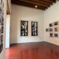 «Rayos X Mexicanos» muestra las posibilidades de resignificar la tecnología en el arte