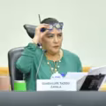 INE difunde renuncia de su Consejera Presidenta